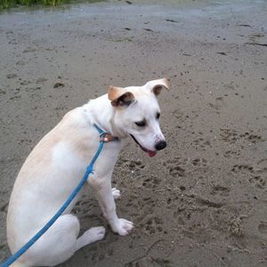 Meet your Posher, Carolyn